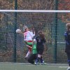BSV Schoenau - Bornaer SV 91 23.10.2016 (8)